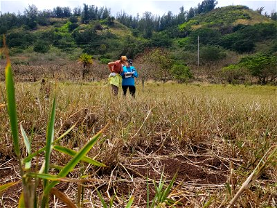 In-Field Assessment photo