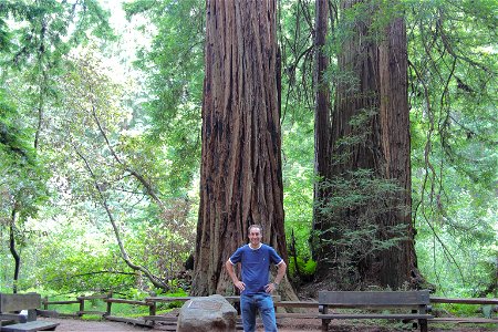 Muir Woods National Monument in San Francisco photo