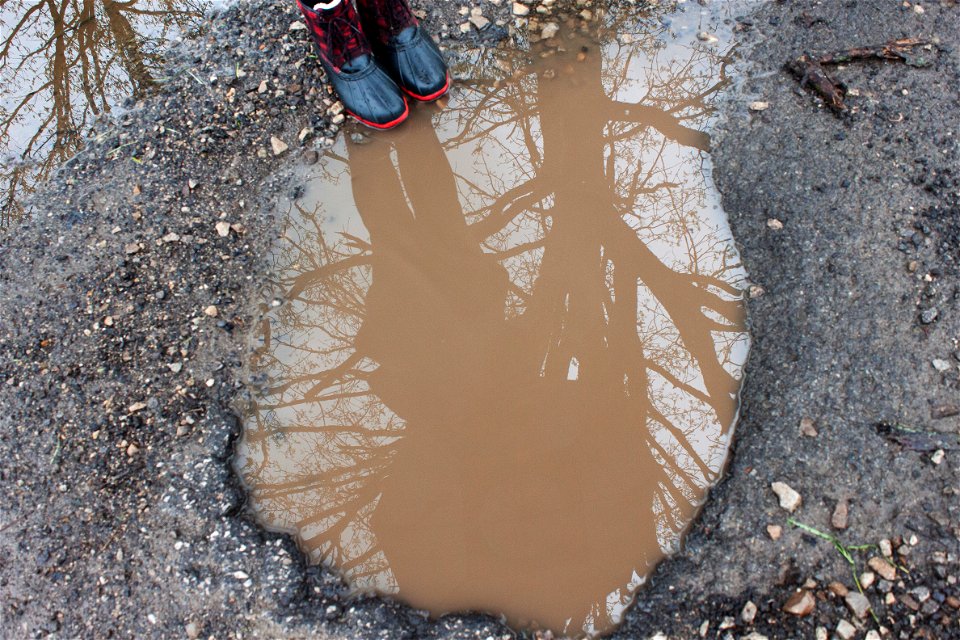 RainyDay_5_Collins