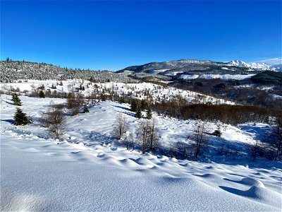 Landscape in WA