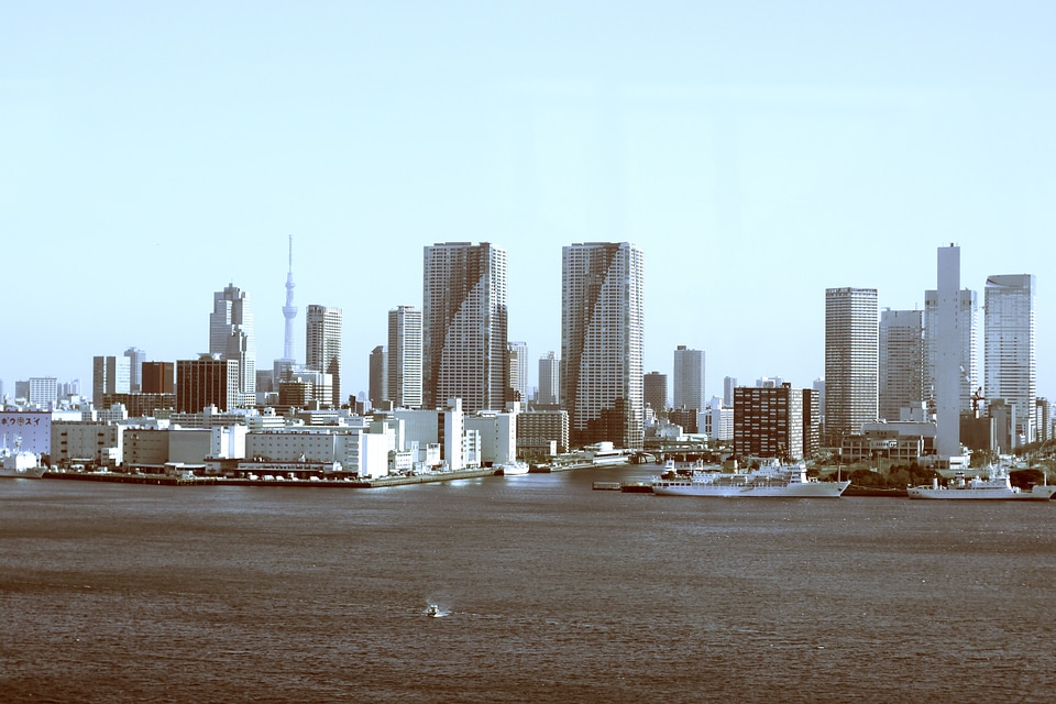Harbour boats cityscape