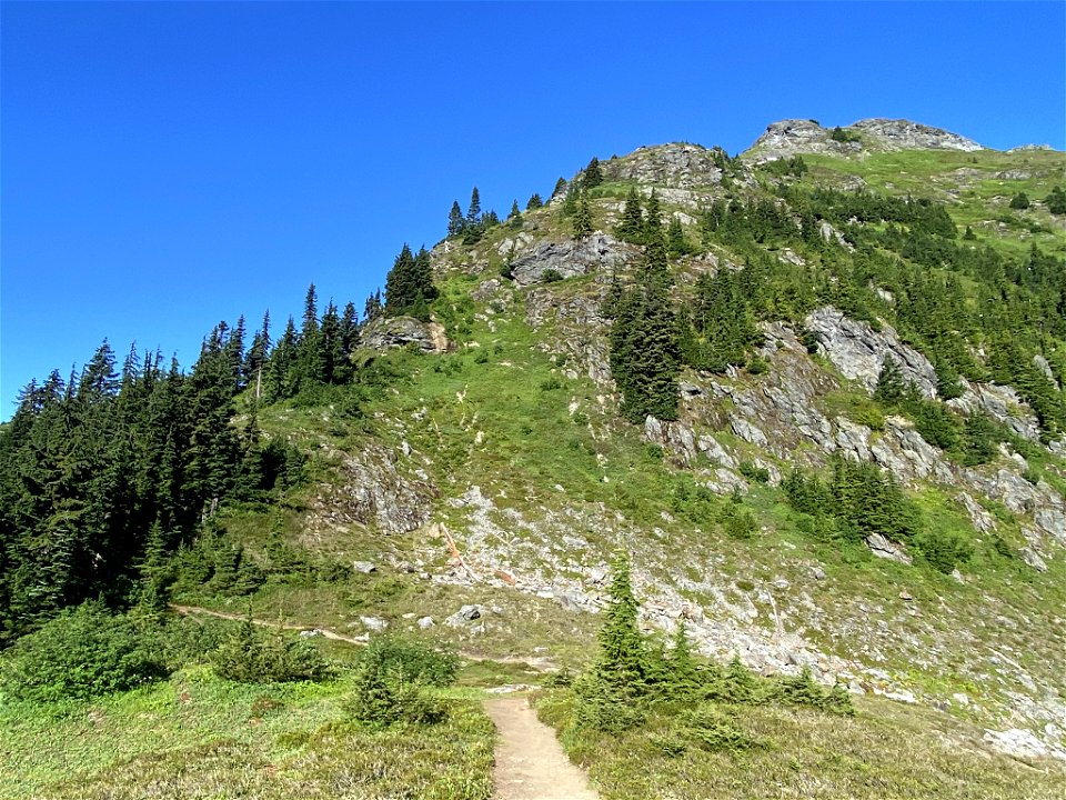 Yellow Aster Butte in WA