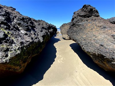 Cape Perpetua in OR photo