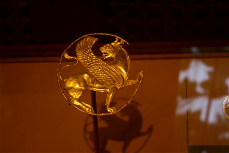 IMG_6567