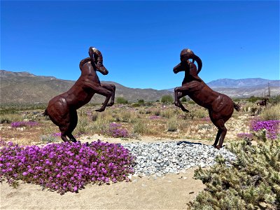 Metal Art Sculpture at Anza Borrego in CA