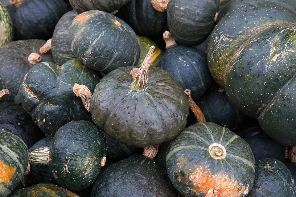 Large vegetables autumn