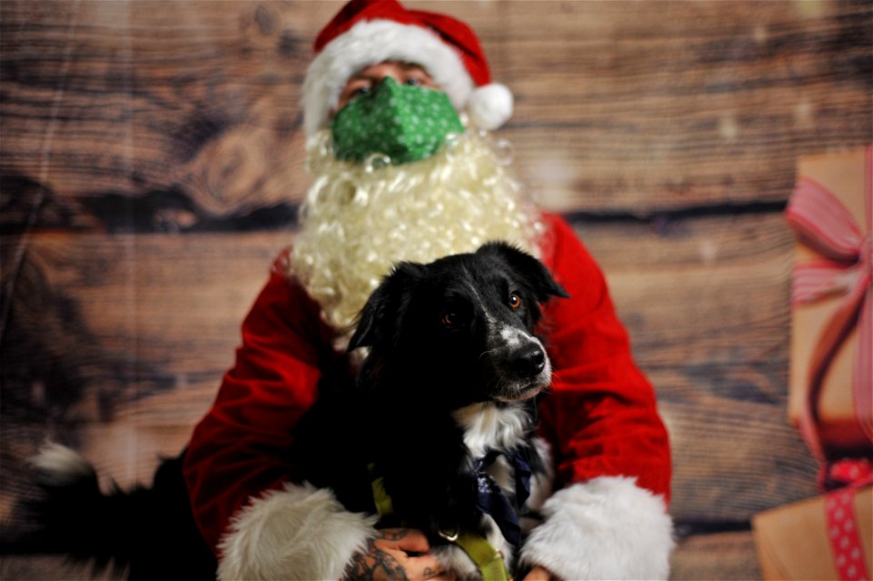 City of Elderly Love Claus for Paws Fundraiser