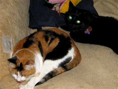 Picture 020