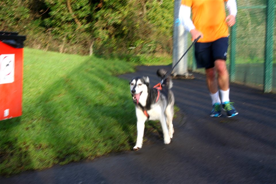 parkrun #190 11th Nov '17