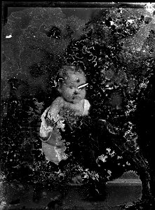 Child from the White family, [n.d.]