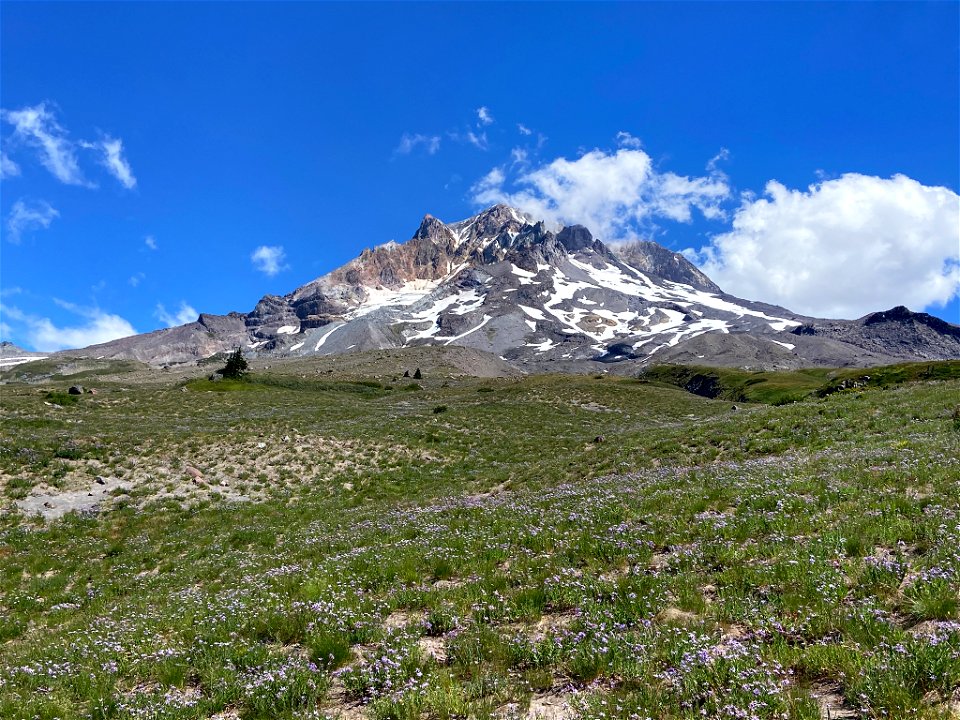 Paradise Park at Mt. Hood in OR