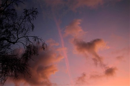 2023_02_05_6516_filtered