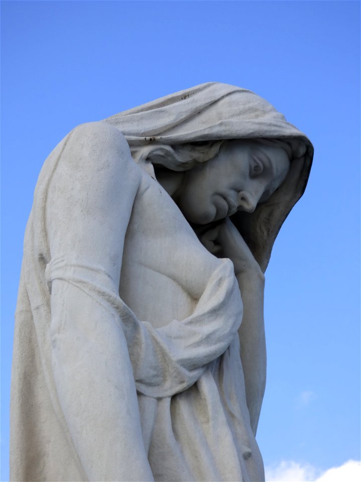 Memorial Vimy Ridge - 5