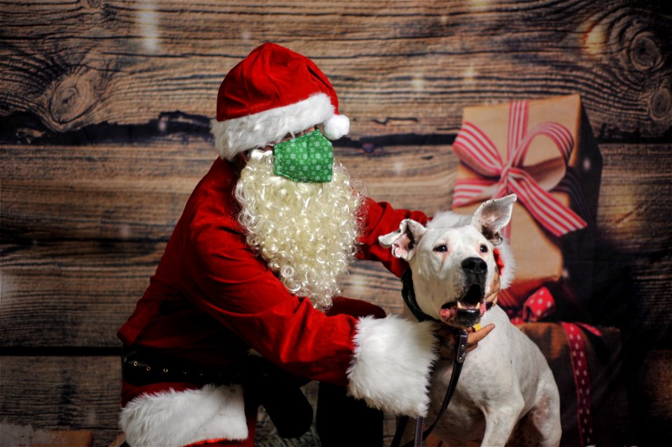 City of Elderly Love Claus for Paws Fundraiser