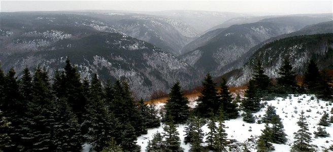 Gorge at Cape Breton Island photo