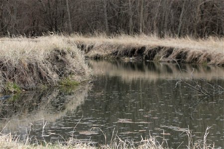 IMG_0468