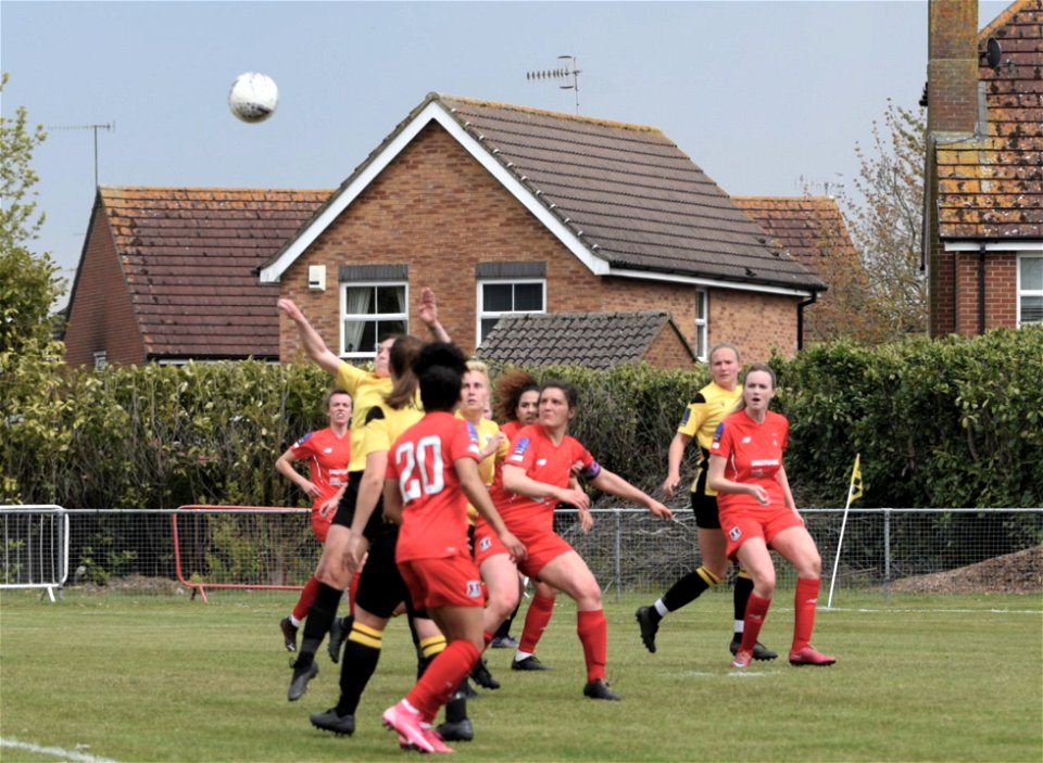 DSC_2427 (2)