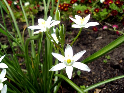 DSC01187