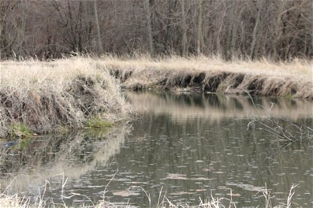 IMG_0467