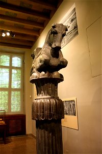 IMG_6562