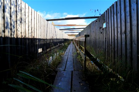 Kulku Siikalahden piilokojulle
