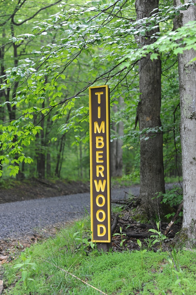 Sand Run Lake Trail - Davis West Virginia