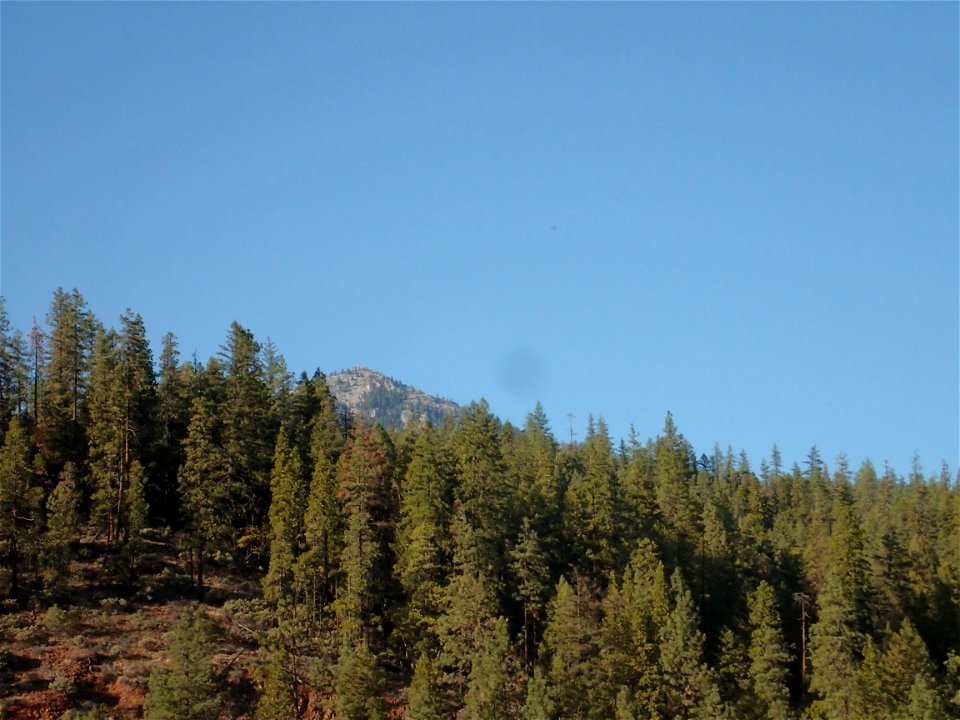 PA168849