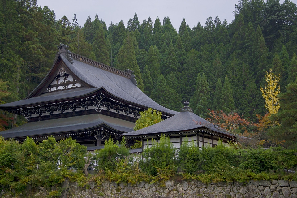 Todai-ji temple in Nara, Japan