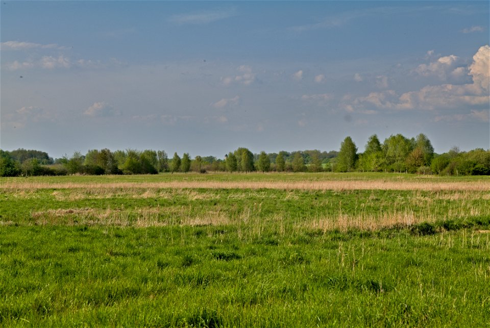 NSG Flutgrabenaue Waltersdorf 02