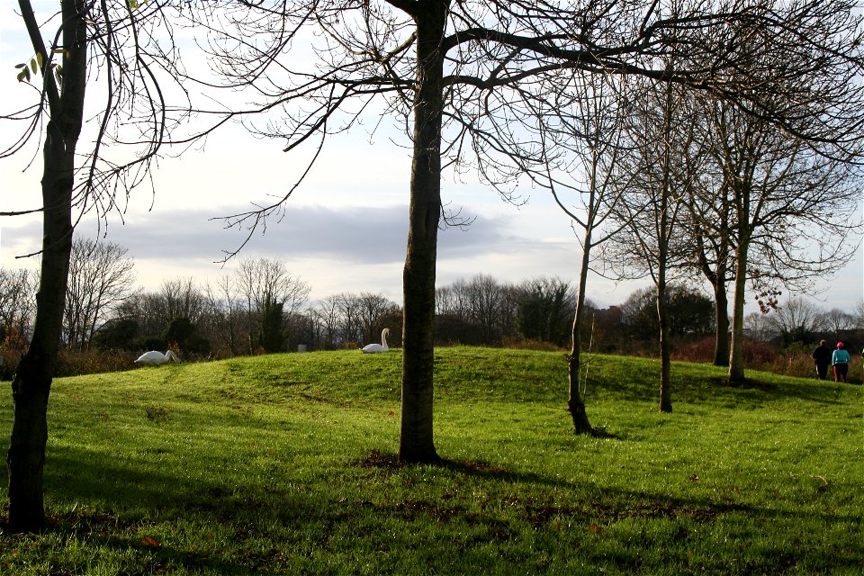 parkrun #190 11th Nov '17