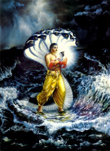 Krishna-lila 044