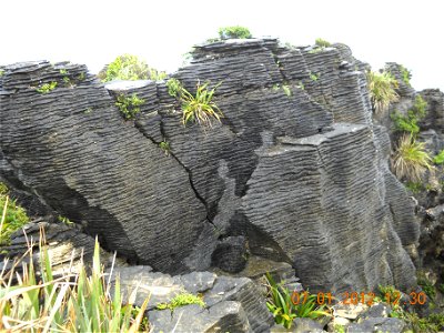 NZ170