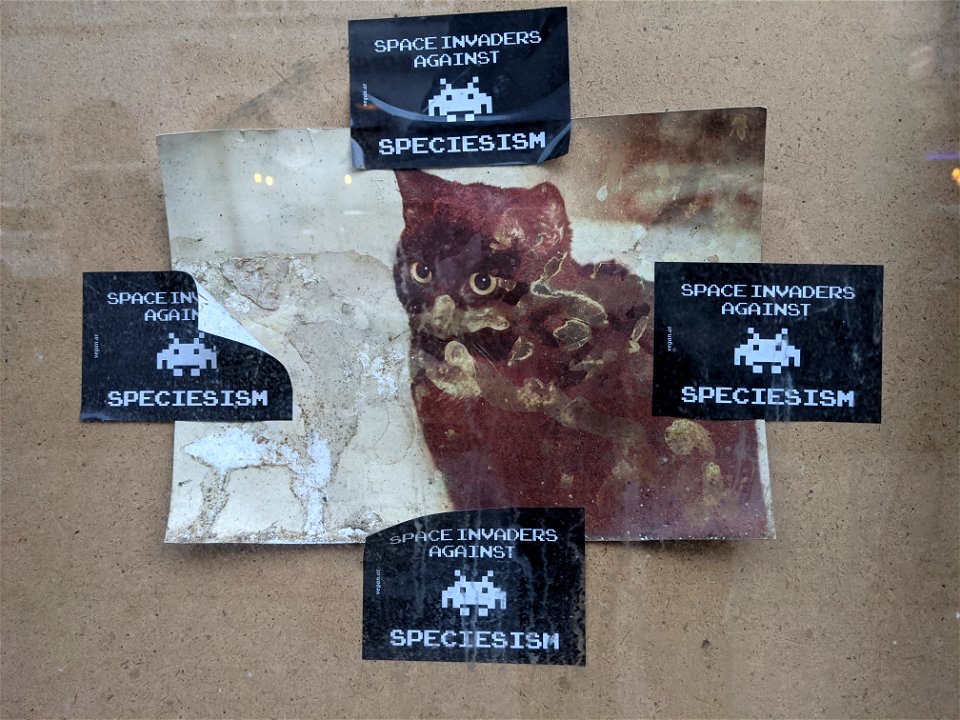 SPACEINVADERS AGAINST SPECIESISM