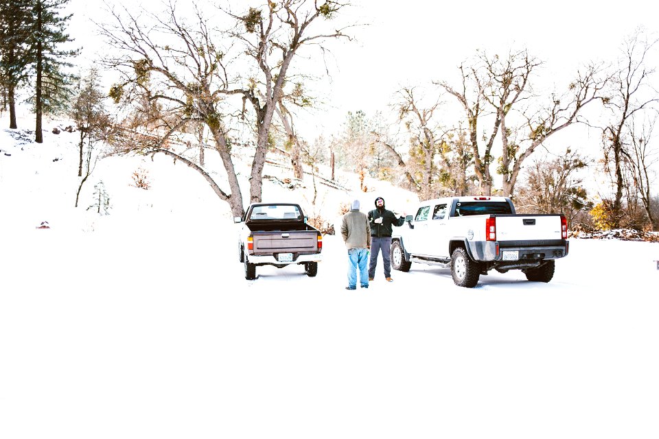 Winter Wonderland