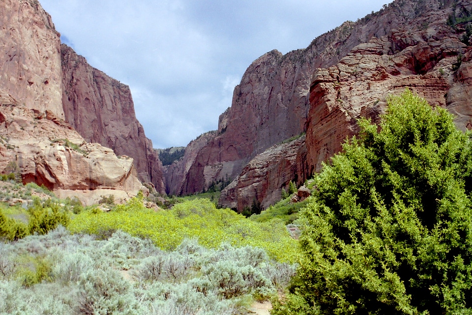 Kolob Canyons northern part of Zion National Park