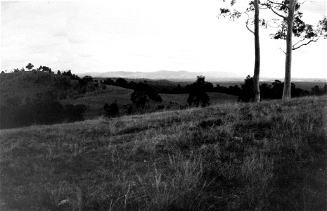 Countryside, Hunter Valley, NSW, [n.d.] photo