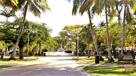 place des Cocotiers, Nouméa photo