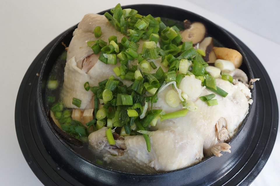 Ginseng chicken soup