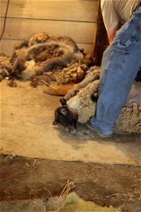 IMG_9227