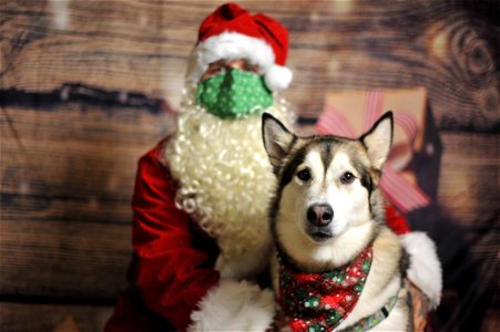 City of Elderly Love Claus for Paws Fundraiser