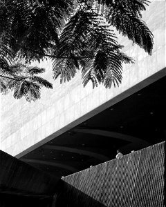CCP National Theater Floating Mass