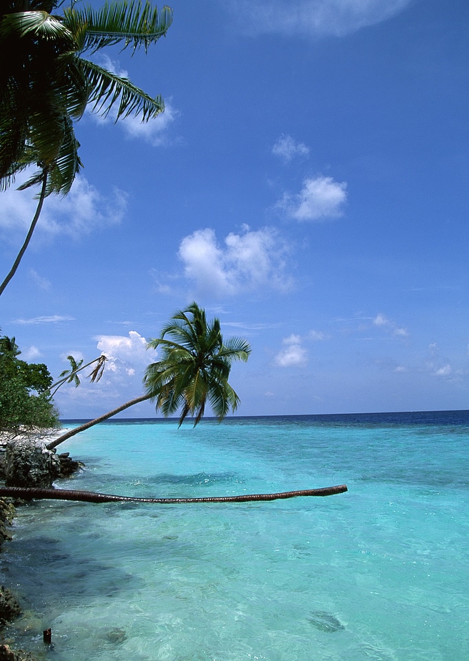 Untouched tropical beach