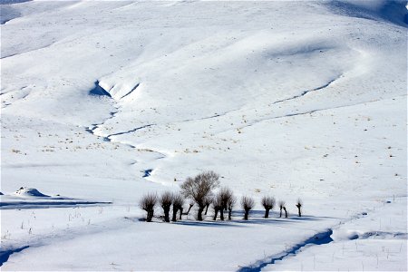 جاذبه های گردشگری ایران