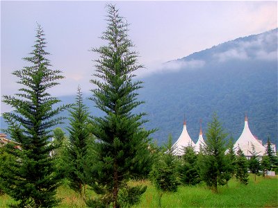 جاذبه های گردشگری ایران