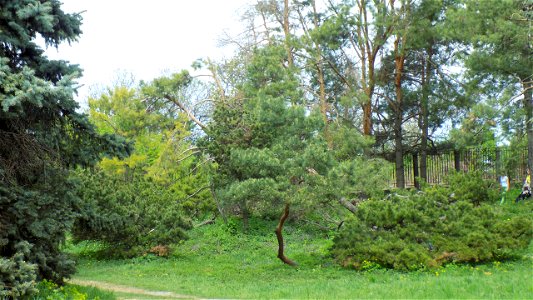 Hryshko National Botanical Garden