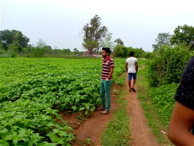 agro tourism