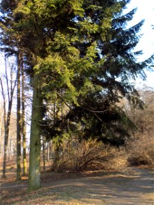 Hryshko National Botanical Garden
