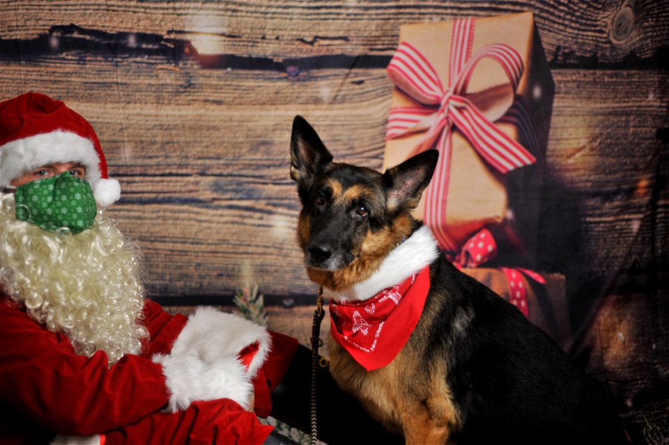 City of Elderly Love Claus for Paws Fundraiser
