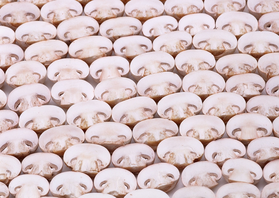sliced mushrooms isolated on white