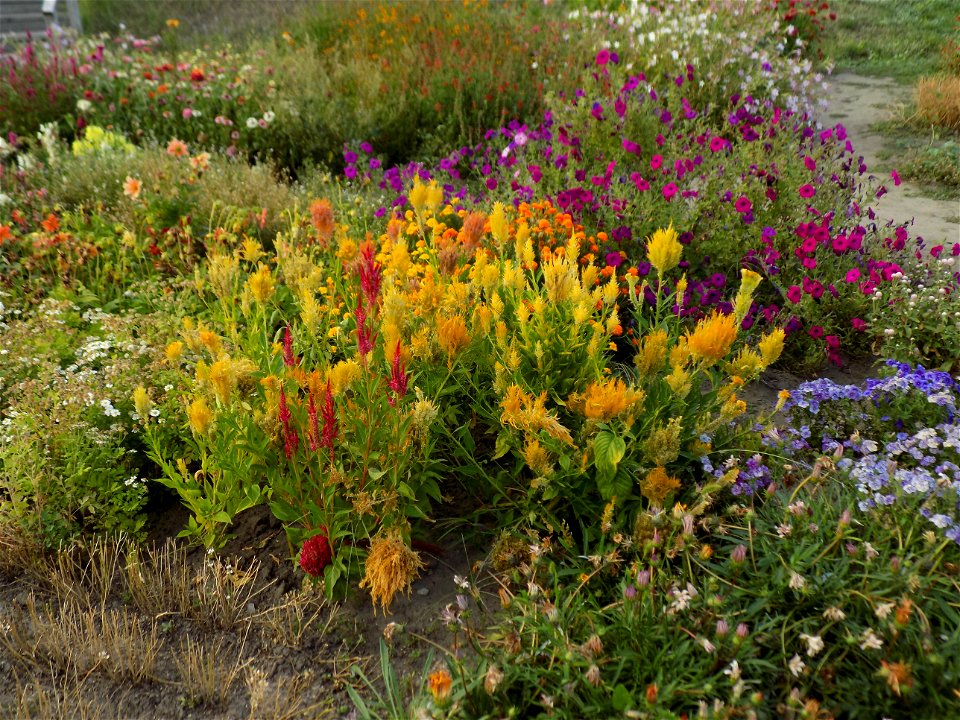 Hryshko National Botanical Garden